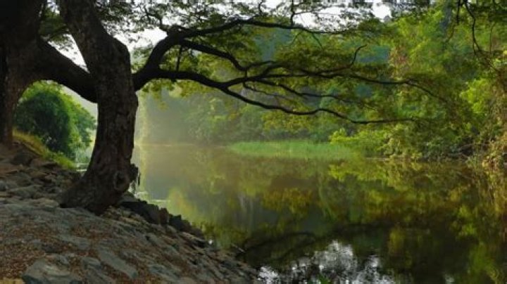 50 Facts About Nature's Wonders That Will Take Your Breath Away — Best Life