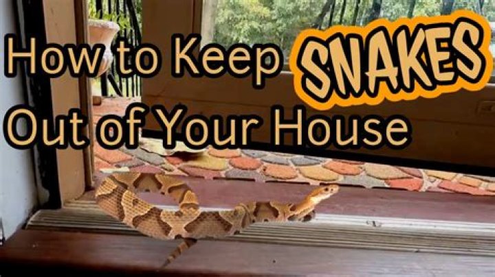 7 Essential Items to Keep Snakes Out of Your Home