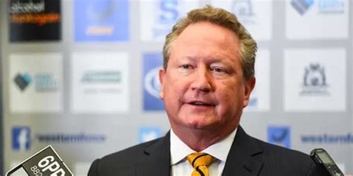 Andrew Forrest Net Worth | Celebrity Net Worth