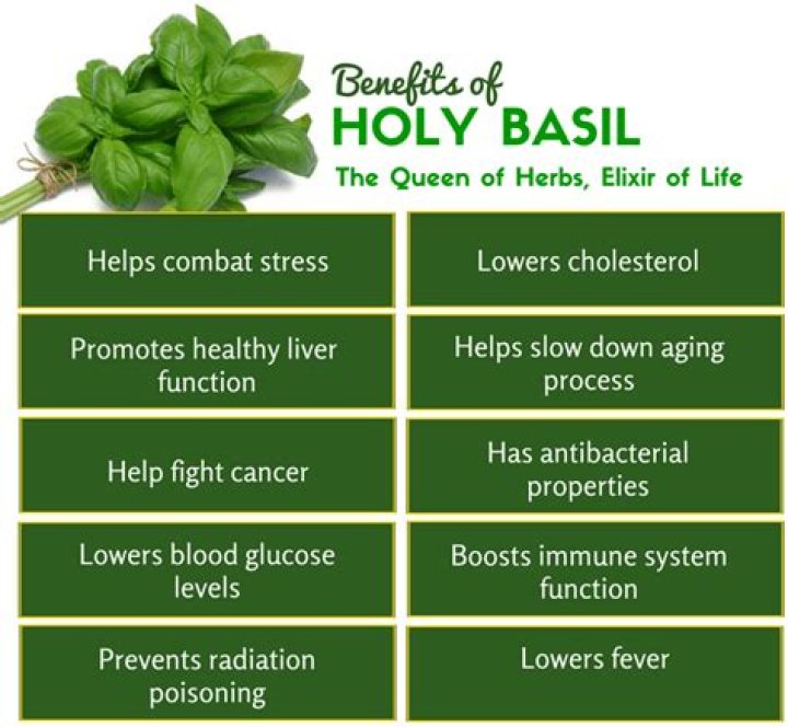 Benefits of Eating Tulsi