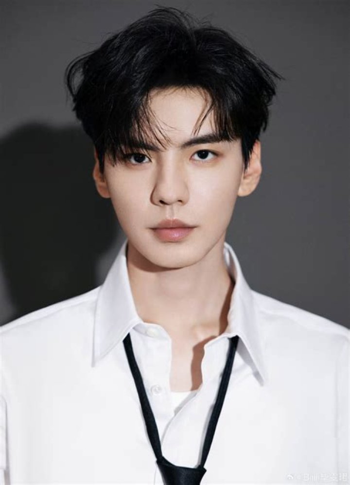 Bi Wenjun - Bio, Age, Wiki, Facts and Family