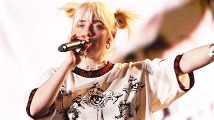 Billie Eilish Honors Angus Cloud During Lollapalooza Performance – Hollywood Life