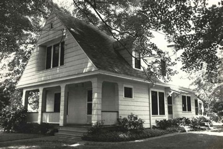 Brice Marden - Bio, Age, Wiki, Facts and Family