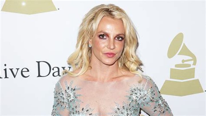 Britney Spears Issues Statement After Security Guard Slap Incident – Hollywood Life