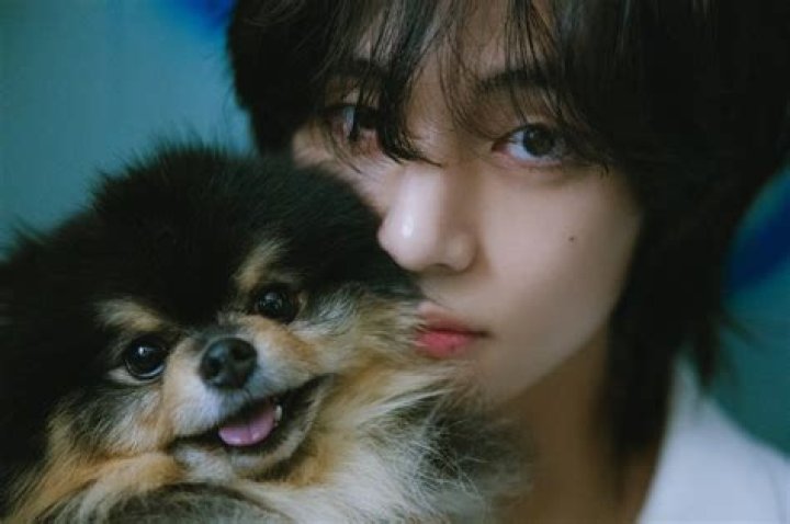 BTS Shares New Photos Of V’s Dog Yeontan & Fans Can’t Get Over How ‘Grown Up’ He Looks