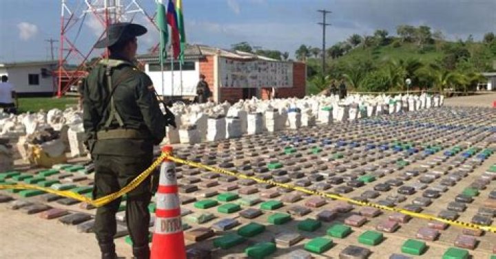 Colombian Police Make Biggest Cocaine Bust Ever In Country's History
