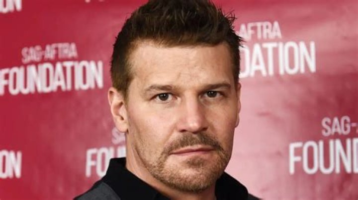 David Boreanaz - Bio, Age, net worth, height, weight, Wiki, Facts and Family