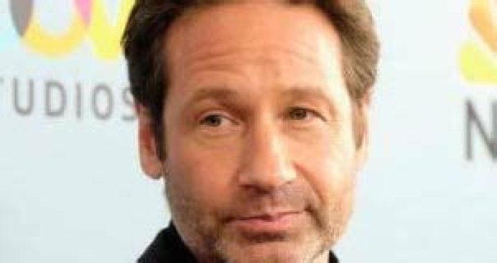 David Duchovny Height, Weight, Age, Girlfriend, Children, Facts, Biography