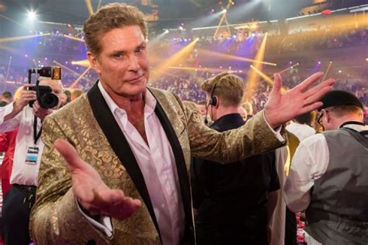 David Hasselhoff Net Worth | Celebrity Net Worth