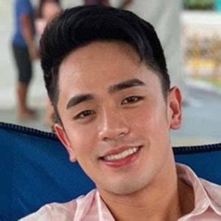 David Licauco - Bio, Age, Wiki, Facts and Family