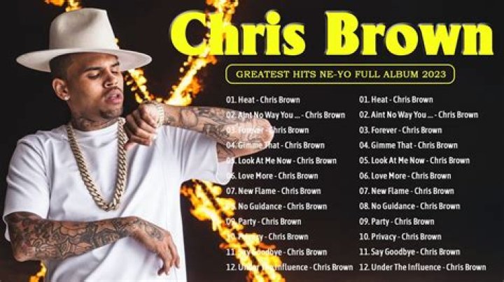Does Chris Brown Write His Own Songs?