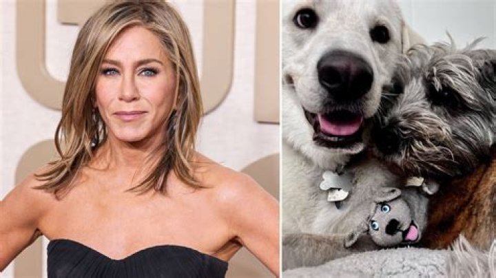 Does Jennifer Aniston Have Pets?