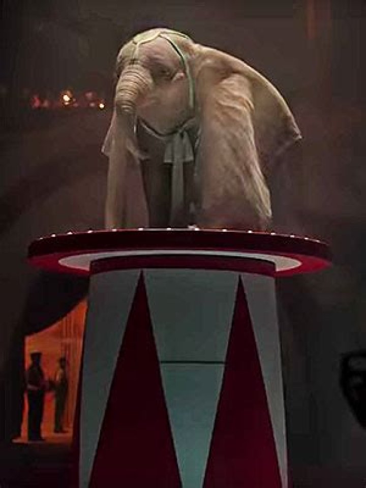 ‘Dumbo’ Remake — Photos