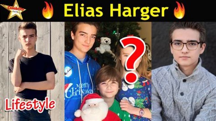 Elias Harger - Bio, Age, weight, height, Wiki, Facts and Family
