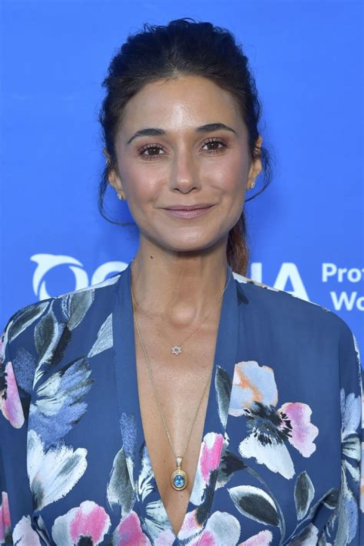 Emmanuelle Chriqui - Bio, Age, Wiki, Facts and Family