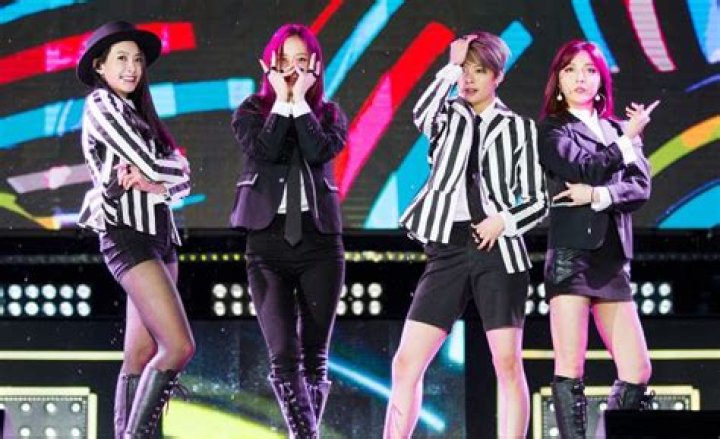 f(x) (Group) Members, Tour, Information, Facts