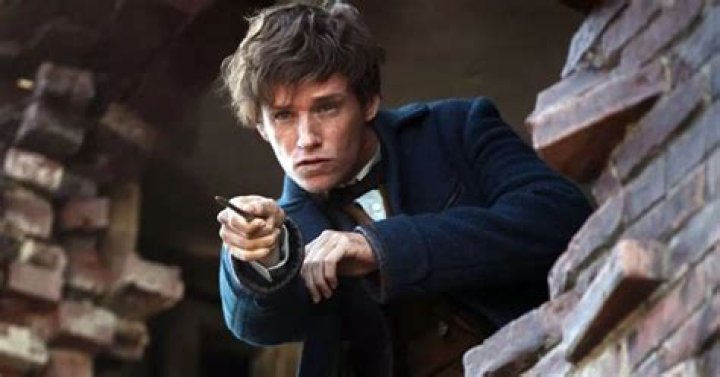 ‘Fantastic Beasts’ Review: A Truly Magical Adventure, Just When We Need It Most