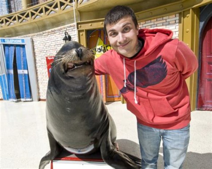 Frank Iero Net Worth | Celebrity Net Worth