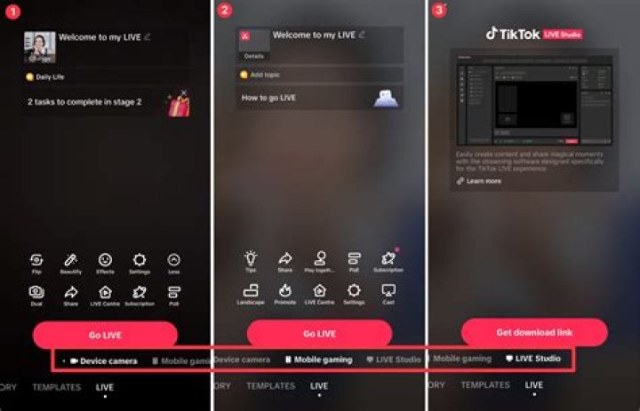 
Has YouTuber Bamborl Done Face Reveal On TikTok? What Does He Look Like? 