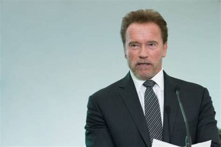 How Much Does Arnold Schwarzenegger Make Per Movie?