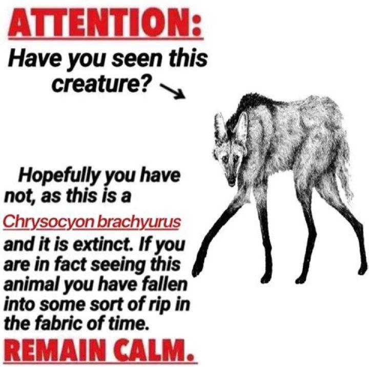 If You See This on Your Walls, You May Have Mice, Experts Say — Best Life