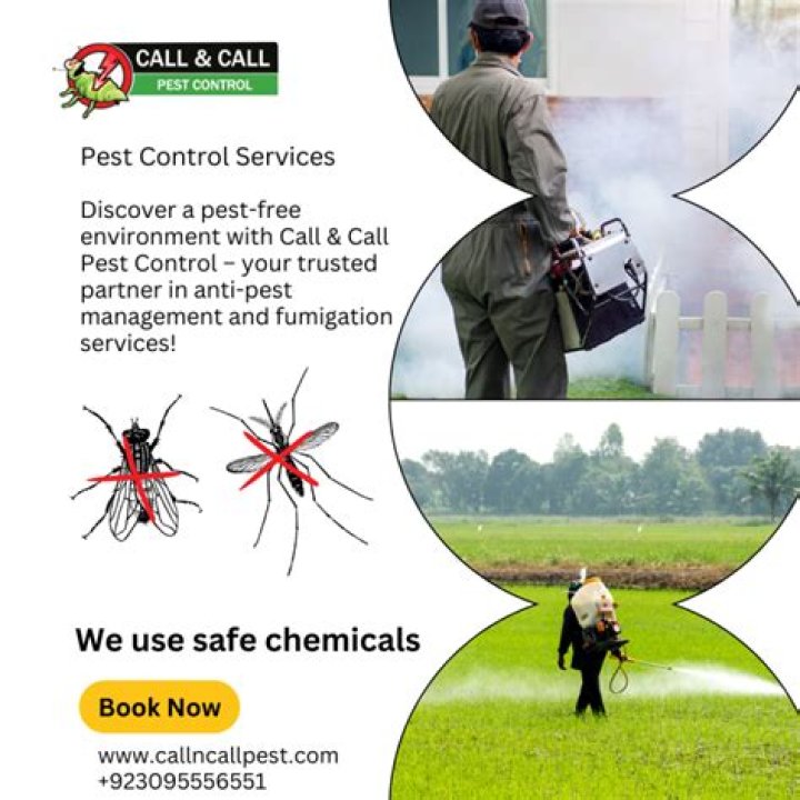 If You Smell This in Your Home, Call Pest Control, Experts Warn