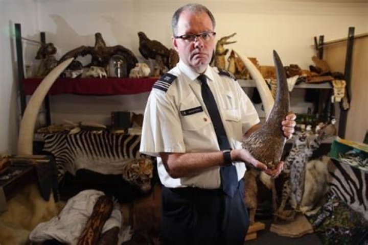 Illegal Rhino Horns Worth Millions Seized By Authorities In Thailand