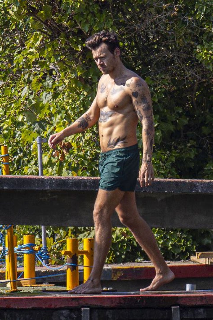 Justin Bieber & Harry Styles Shirtless — Who Has The Sexier Abs? – Hollywood Life