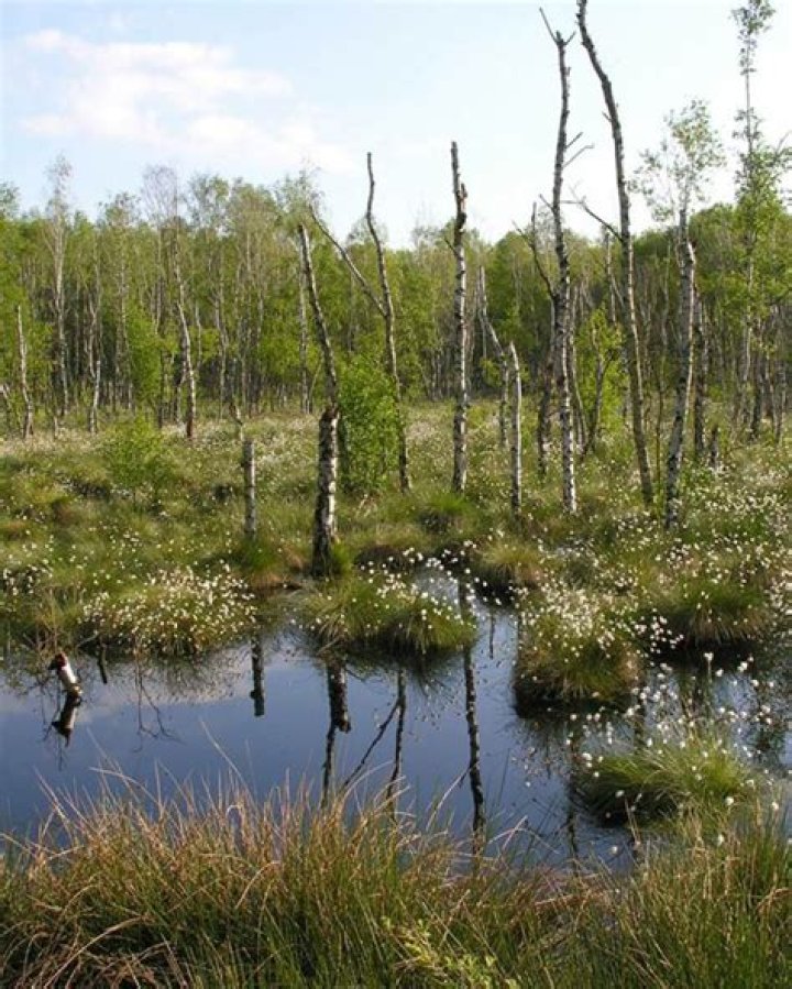 Kennedy Moore - Bio, Age, Wiki, Facts and Family