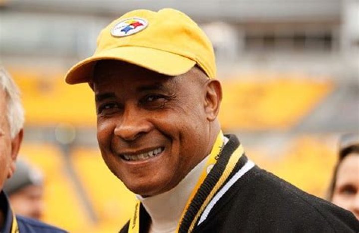 Lynn Swann Net Worth | Celebrity Net Worth