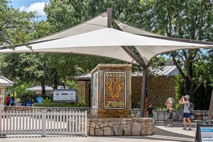 Monkeys Stolen From Dallas Zoo in Latest Bizarre Incident