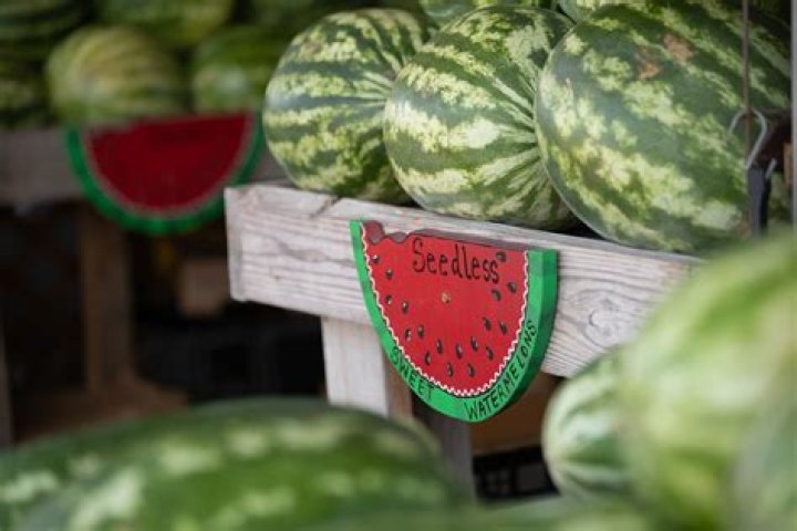 Never Spit Out the Seeds of This One Fruit, Doctor Says — Best Life