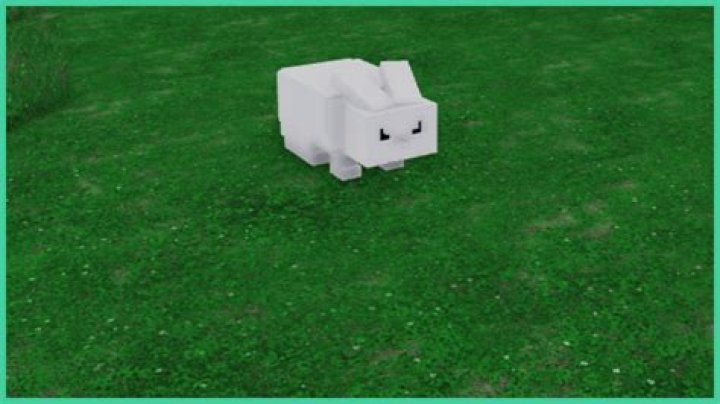 OP ROWDY GAMER 99 video statistics