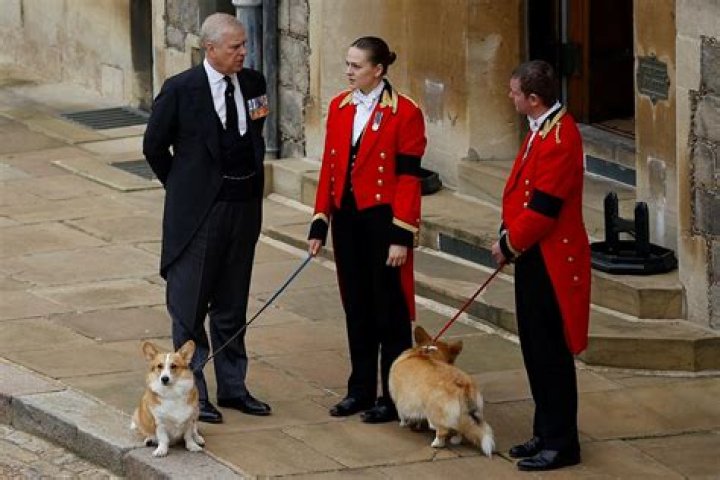 Queen Elizabeth’s Royal Corgis Watch Monarch’s Casket Travel To Windsor: Photo