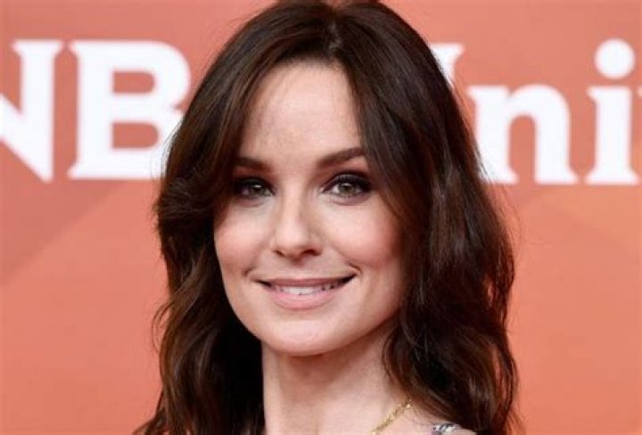 Sarah Wayne Callies Net Worth