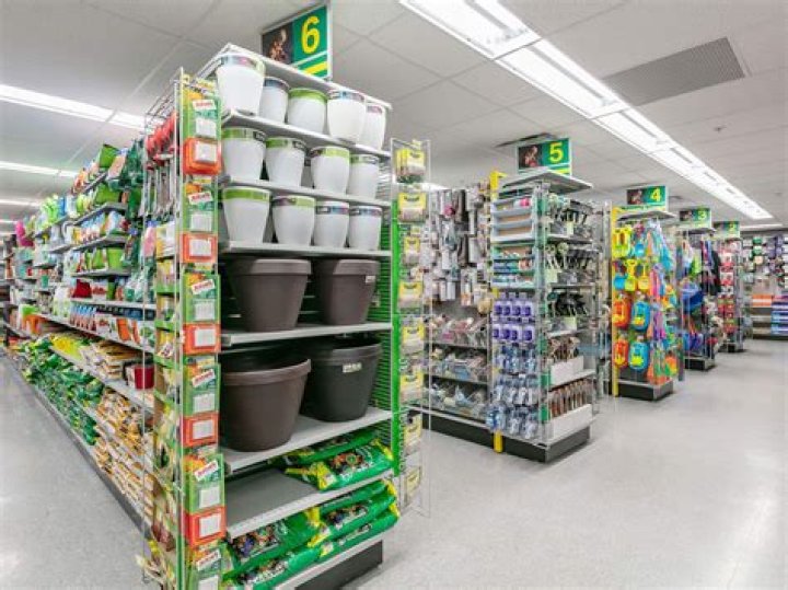 Shoppers Say These 10 Dollar Tree Products Look Like HomeGoods for Just $1.25