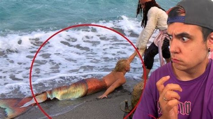 Sirenas reales encontradas vivas video statistics
