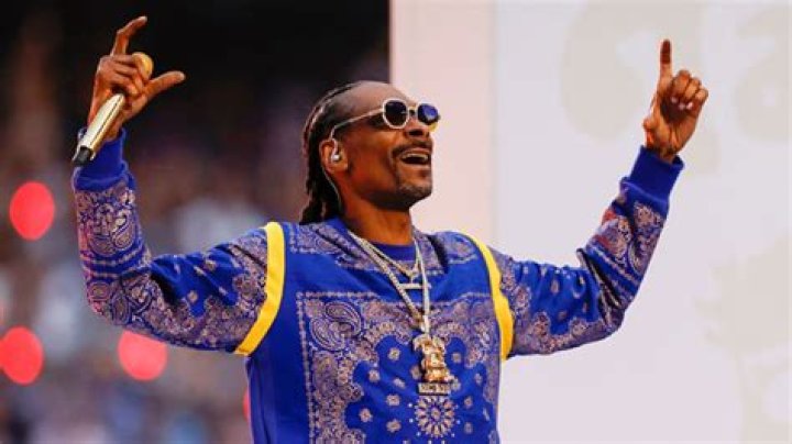 Snoop Dogg Smokes Weed Before Performing At Super Bowl Halftime – Hollywood Life
