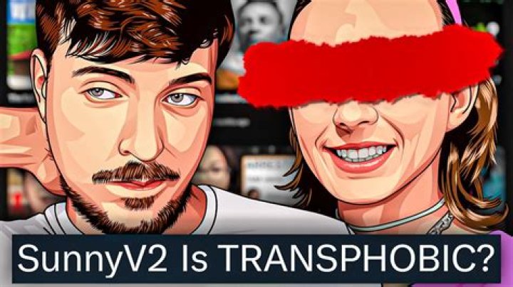 SunnyV2 video statistics