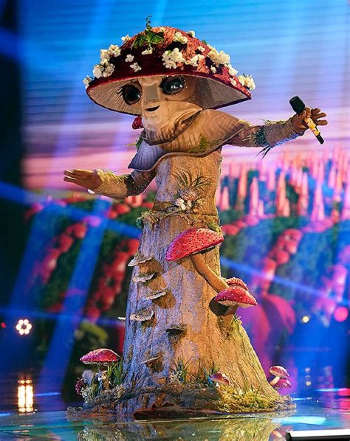 ‘The Masked Singer’s Aloe Blacc Had ‘No Idea’ LeAnn Rimes Was The Sun – Hollywood Life