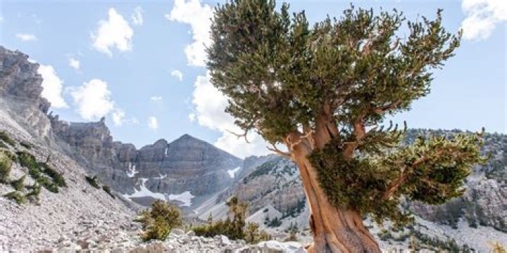 This Is the Most Mispronounced State in the U.S. — Best Life