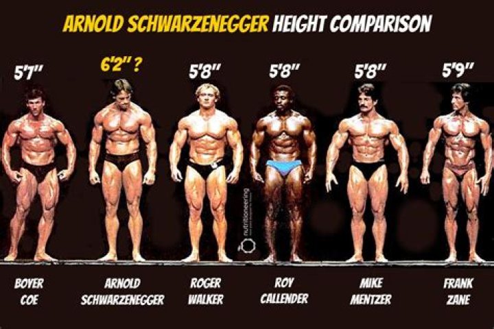What Is Arnold Schwarzenegger’s Height?