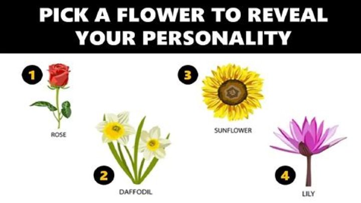 What Your Favorite Flower Reveals About Your Personality, According to Therapists