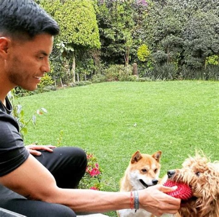 Who is Alfredo Talavera Dating Now?